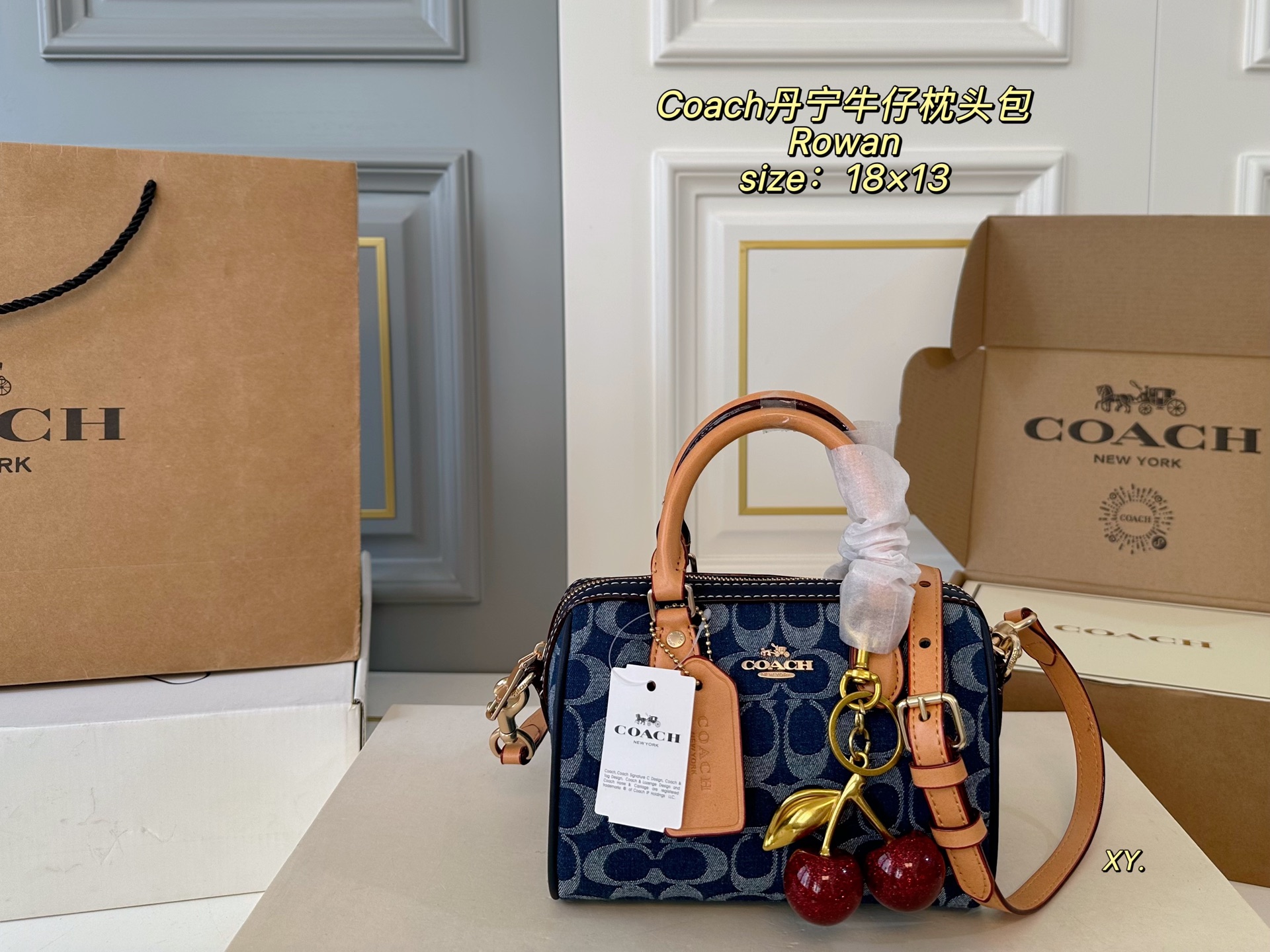 coach bag 180